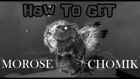 How to get Morose Chomik in Find the Chomiks!