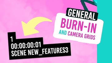 How to add a Burn in and Camera Grids (General) (Harmony)