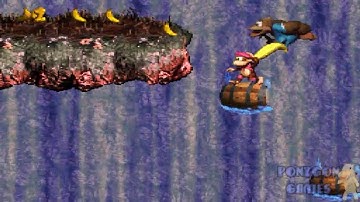 Donkey Kong Country 3 Part 5