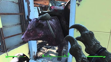 FALLOUT 4 SHENANIGANS