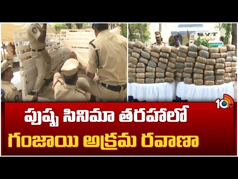 పుష్ప సినిమా తరహాలో గంజాయి అక్రమ రవాణా | Police Seized 400 Kg Ganja in Tirupati | 10TV