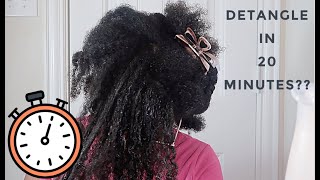Detangle All of This Hair in 20 Minutes using Aloe Vera Juice and V05 (4b/4c)
