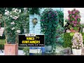 35 Best Vines for Containers | Climbing Plants for Pots