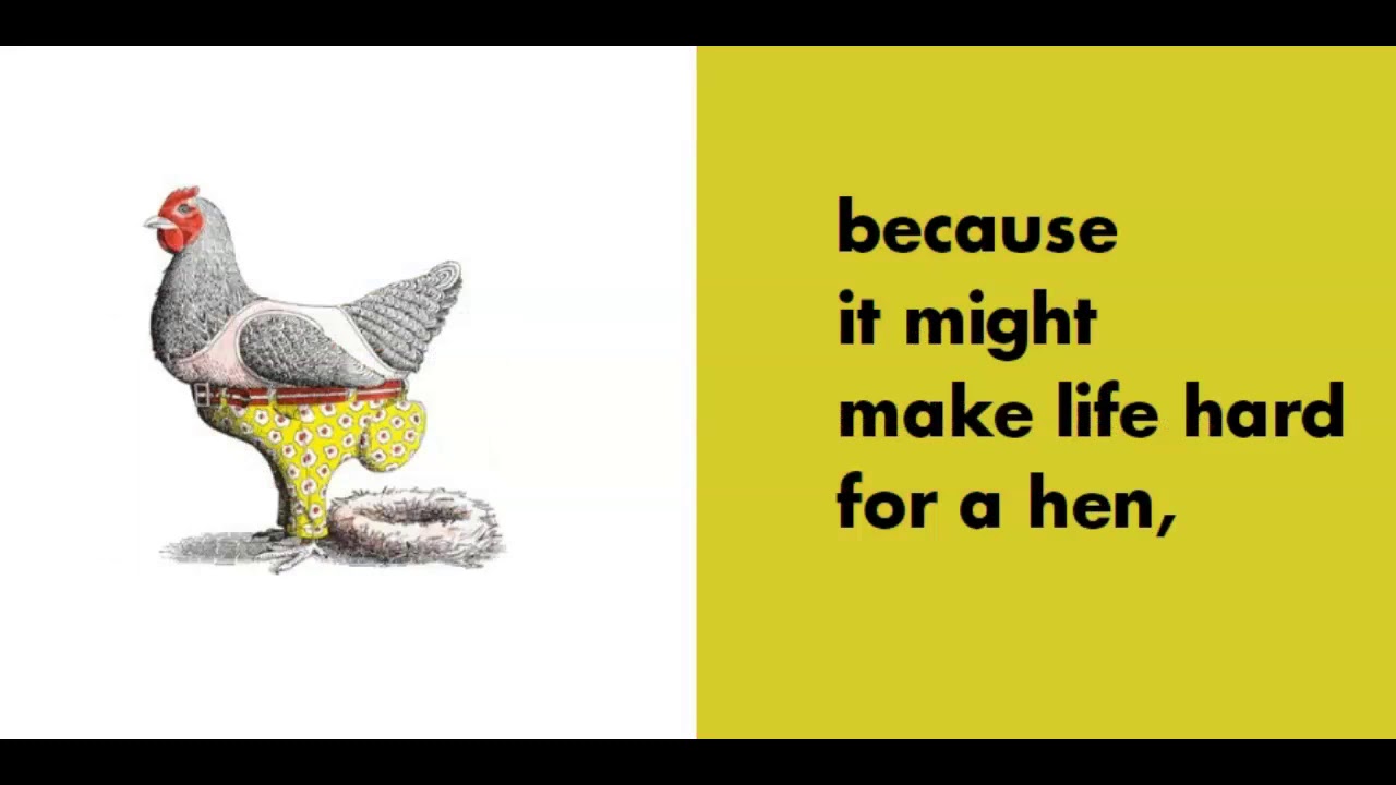 Animals Should Definitely Not Wear Clothes YouTube