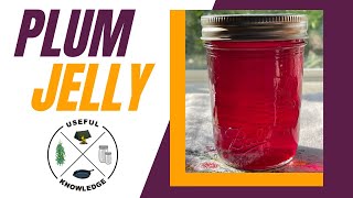 Plum Jelly | Useful Knowledge