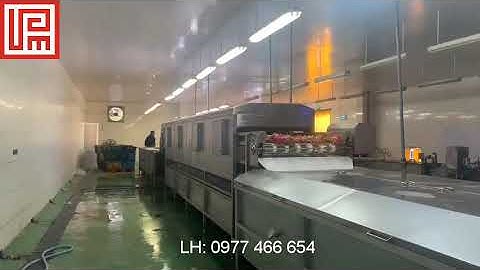 Dây chuyền rửa - thanh trùng liên tục trái Thanh Long