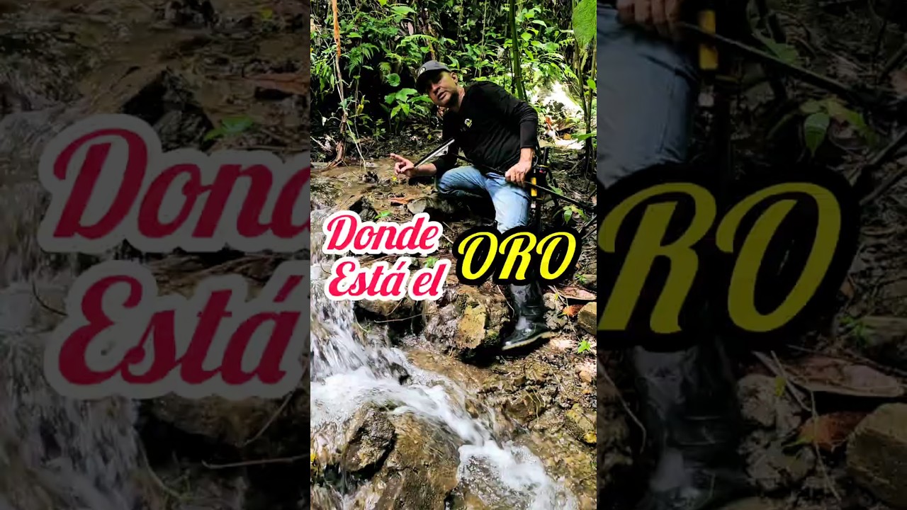 Cómo Buscar El Oro En Rios y Arroyos #minas #oro #mineria #colombia