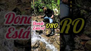 Cómo Buscar El Oro En Rios y Arroyos #minas #oro #mineria #colombia