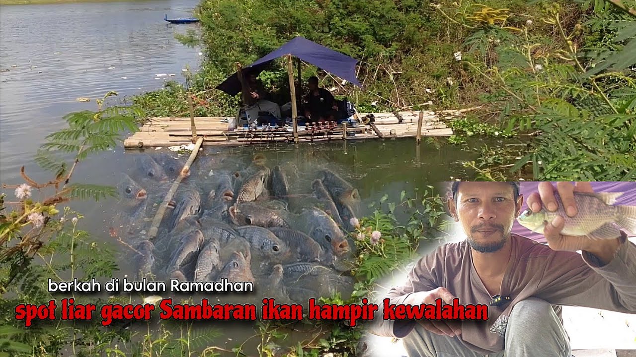 Camp fishing ep 102 part 2 GILA SPOT LIAR SAGULING BERASA MANCING DI EMPANG