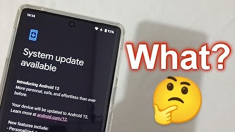 Pixel 6 Pro Android 13 Update Glitch?