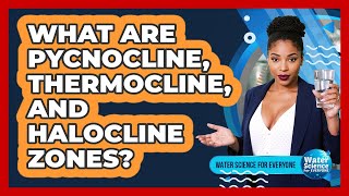 What Are Pycnocline, Thermocline, And Halocline Zones?