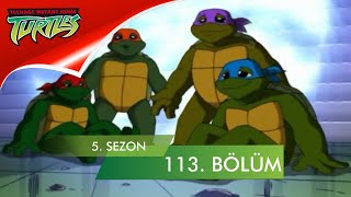 Ninja Kaplumbağalar 113. Bölüm