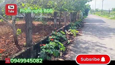 Bán Đất Vũng Tàu 10×35m – Đường Nhựa Lớn, Dân Cư Đông – Giá Chỉ 1 Tỷ 100