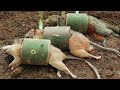 Create special amazing primitive bamboo trap for jungle rats