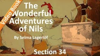 34 - The Wonderful Adventures of Nils by Selma Lagerlöf - Westbottom and Lapland