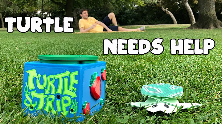 Solving the Extraordinary Turtle Trip Puzzle