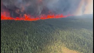 Лесные пожары захлестнули Канаду: сгорело около 4 млн га леса