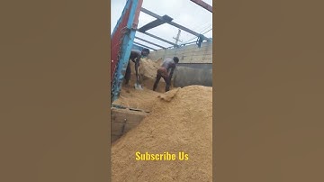 Construction material Unloading from truck | Wholesale sand supplies| #shorts