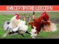 Фиксер против шоссера! Кто победит?