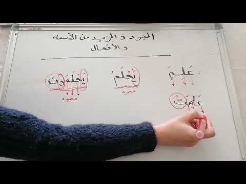 المجرد و المزيد من الأفعال و الأسماء الصف السادس