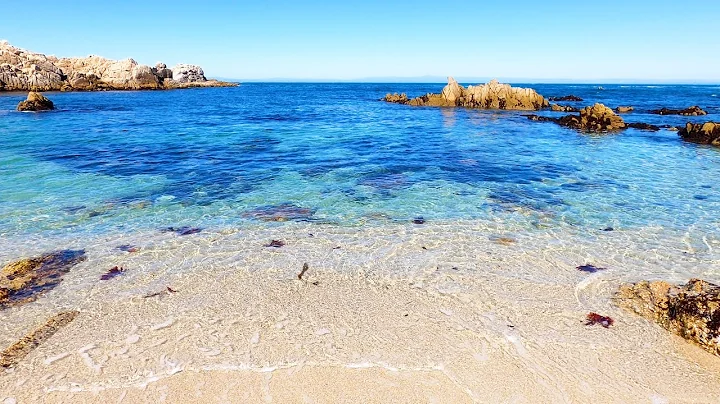 Blue Bliss: 6 Hours of Gentle Wave Sounds on a Beautiful California Beach (4K Video)
