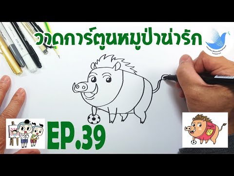 วีดีโอ: วิธีการวาดหมูป่า