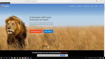 Set 4 Browsers: Coc Coc, Brave, Waterfox, Iridium