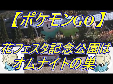 ポケモンgo 岐阜県可児市 花フェスタ記念公園はオムナイトの巣だった Youtube