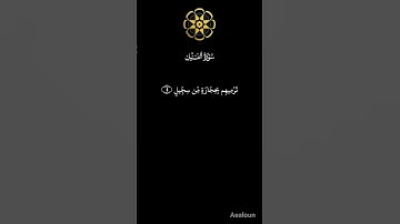 سورة الفيل.. #قران_كريم #اكسبلور