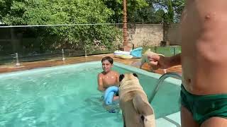 Brincando Na Piscina Com Meu Irmão Joasapeca8048 , Meu Primo E Meus Can Iroso Kkk