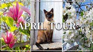 Relaxing April Garden Tour 2026: New Blooms & Our Special Visitor! 🌸🐾