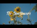 The Sunflowers 2022 / ひまわり/SIGMA fp  CinemaDNG 12bit RAW