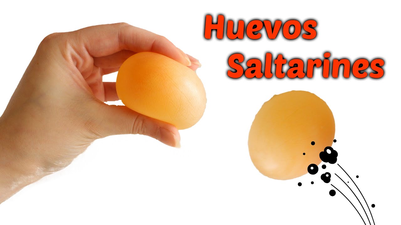 Huevos Saltarines Experimento Casero para niños - YouTube