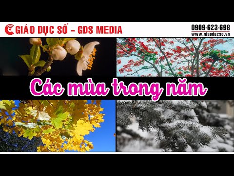 Các Mùa Ở Việt Nam - Các mùa trong năm