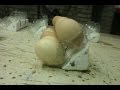 Самодельные лотки для переворота куриных яиц