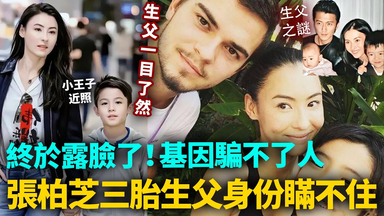 終於露臉了！基因騙不了人！張柏芝三胎近照曝光，生父身份一目了然，六年隱匿背後真相驚人，謝霆鋒冤屈終於洗清。#港圈日報