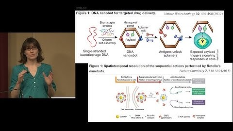 Debunking the Nanobot (Quinn Spadola, PhD)