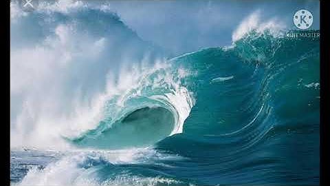 6 th std Social Science bridge course Day 7