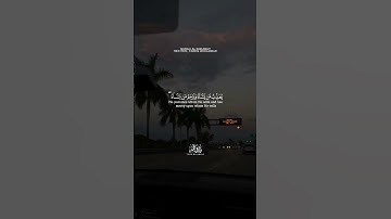 قُل سيروا في الأرض،القارئ طارق محمد،أرح سمعك.🎧💙