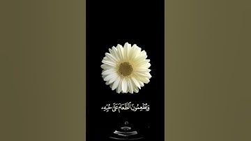 صباح الخير🌼اجمل حالات واتس اب مقاطع قصيره🌼قران سورة الإنسان إن الأبرار يشربون🌼احمد النفيس بدون حقوق