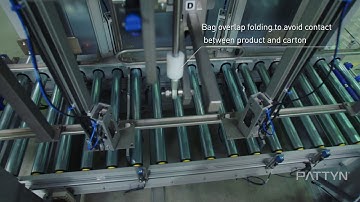 Echipament de impachetat saci in cutii DF 11 - Pattyn Packaging Lines