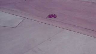 Jato 3.3 Street 2.MOV