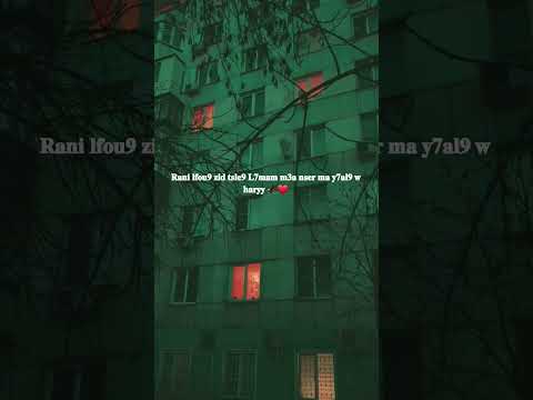 Didine Canon 16 Music راني لفوق زيد تسلق لحمام معا نسر مايحلق وهااراي Didinecanon16 Officiel