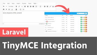 TinyMCE integration with Laravel Simple Filemanager