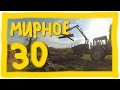 Мирное 30 - Горбыль, Опилки, Доставка дуба и Пчела в коре