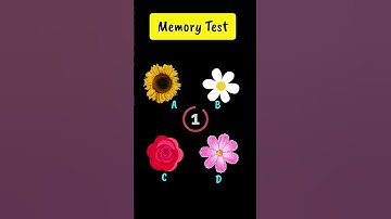 Memory Test 🤯 || Riddles And Puzzles For Iq Test || part 5 || #shorts #quiztime