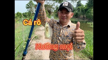 Đặngvlogs - câu cá rô nướng mọi chấm muối ớt 2022