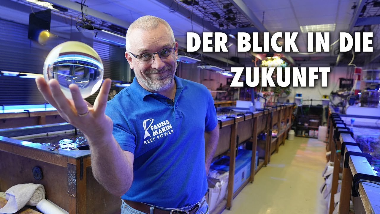 Blick in die Zukunft deines Beckens mit unserer ICP! - So ist das möglich