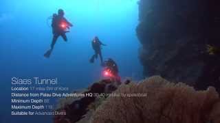 Watch Why Diving Incredible Siaes Tunnel in Palau is Awesome Resimi