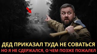 картинка: Егерь Нашёл Странную Метку на Карте Деда. Дальше Произошло УЖАСНОЕ